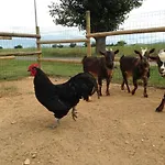 Cascina Folletto Κατάλυμα σε φάρμα *