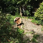 Κατάλυμα σε φάρμα Cascina Folletto *
