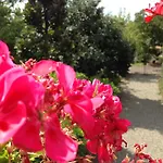 Κατάλυμα σε φάρμα Cascina Folletto Νόβι Λίγκουρε