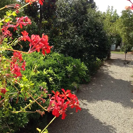 Cascina Folletto Farma *