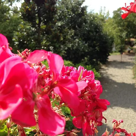 Farm stay Cascina Folletto Novi Ligure