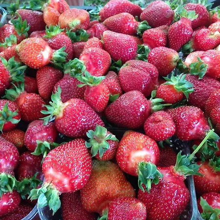 Фермерский дом Cascina Folletto Нови-Лигуре