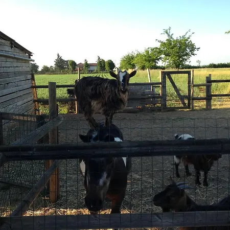 בית חווה Cascina Folletto