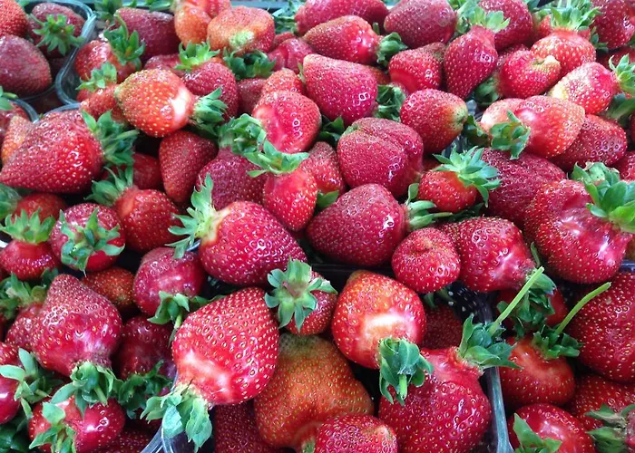 Alojamento de Turismo Rural Cascina Folletto Novi Ligure